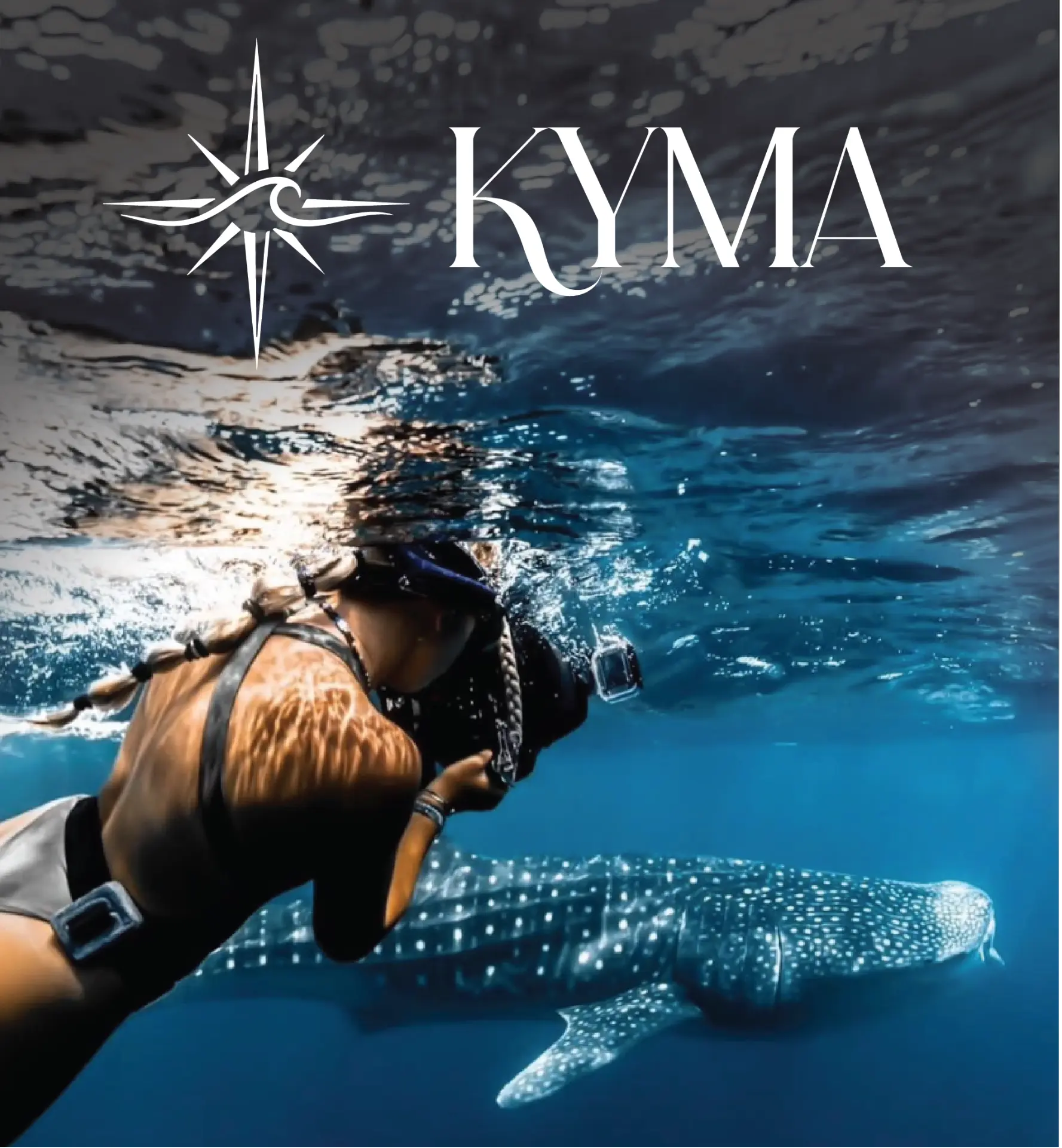 A diver gliding beside a whale shark in open blue water